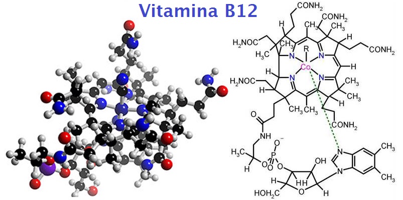 Estructura química de la vitamina B12